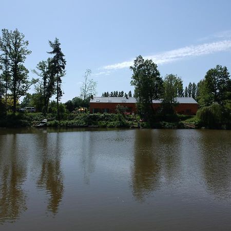 Florennes Gite Neuf 150 M2 Devant Un Grand Lac Prive De 2 Hectares Poissonneux Au Milieu Des Bois Vila Exterior foto