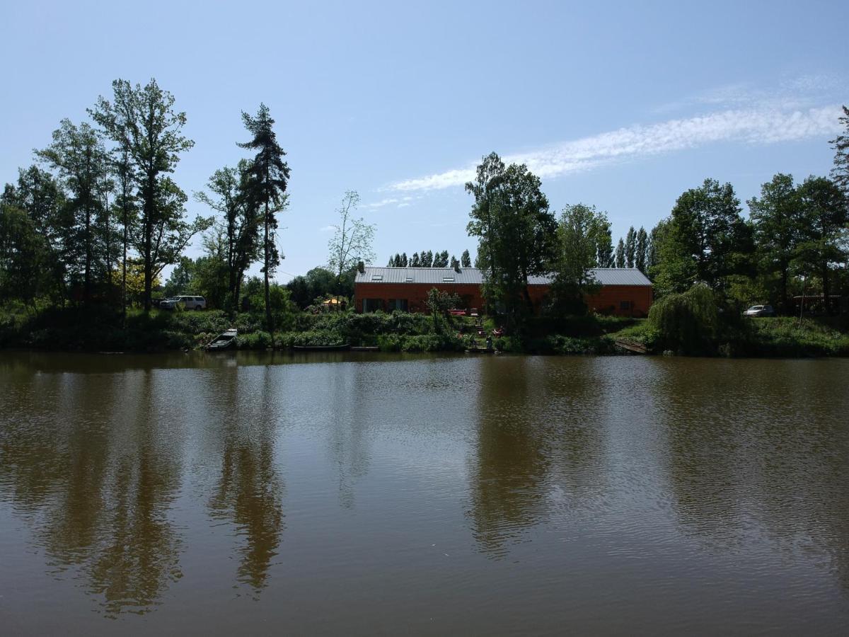 Florennes Gite Neuf 150 M2 Devant Un Grand Lac Prive De 2 Hectares Poissonneux Au Milieu Des Bois Vila Exterior foto