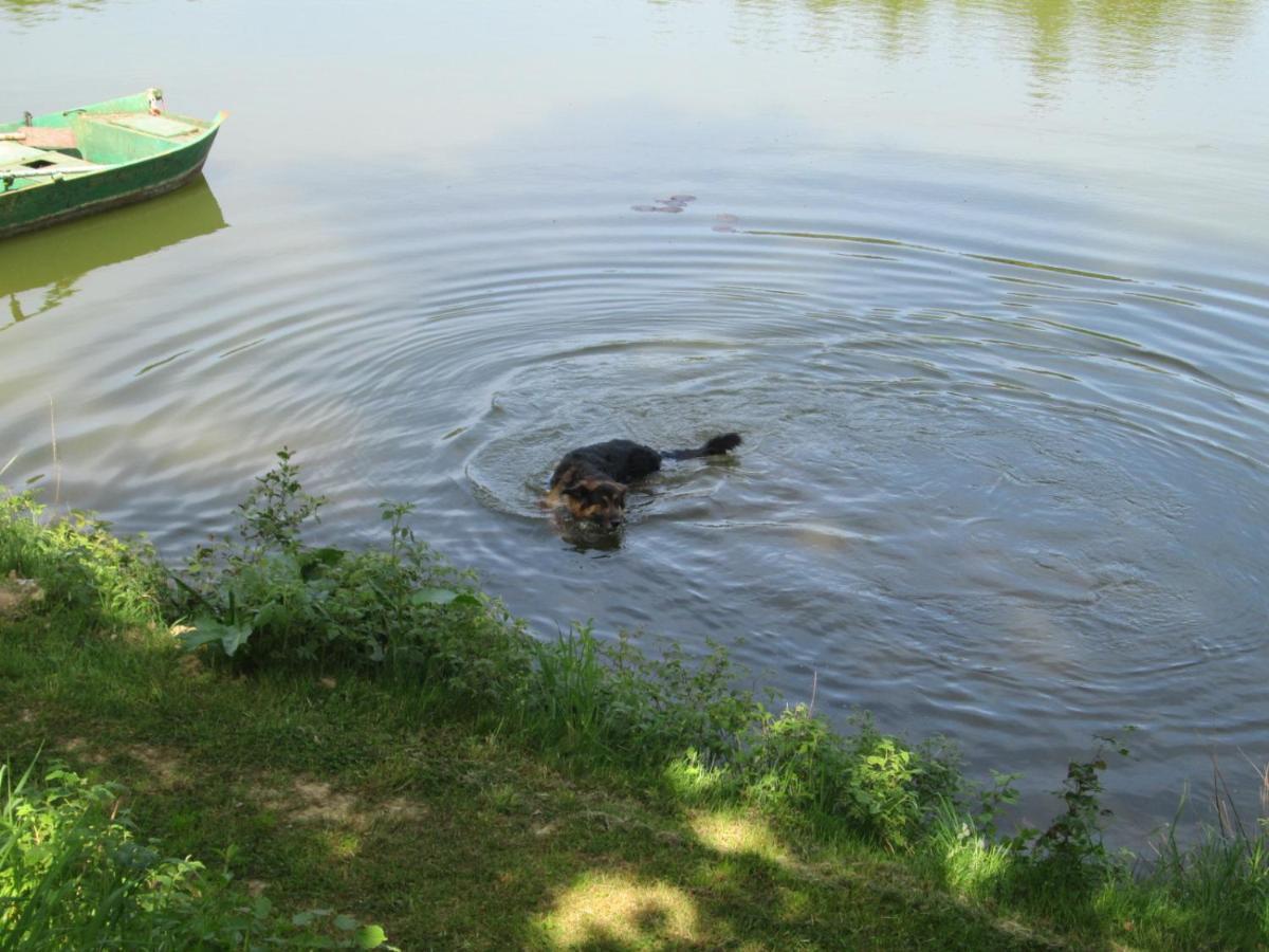 Florennes Gite Neuf 150 M2 Devant Un Grand Lac Prive De 2 Hectares Poissonneux Au Milieu Des Bois Vila Exterior foto