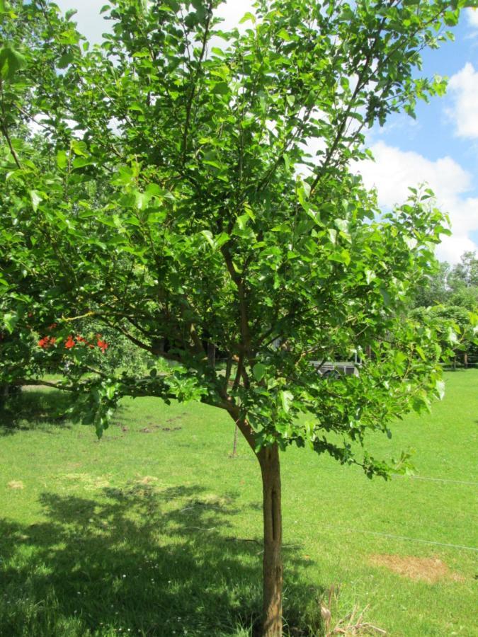 Florennes Gite Neuf 150 M2 Devant Un Grand Lac Prive De 2 Hectares Poissonneux Au Milieu Des Bois Vila Exterior foto