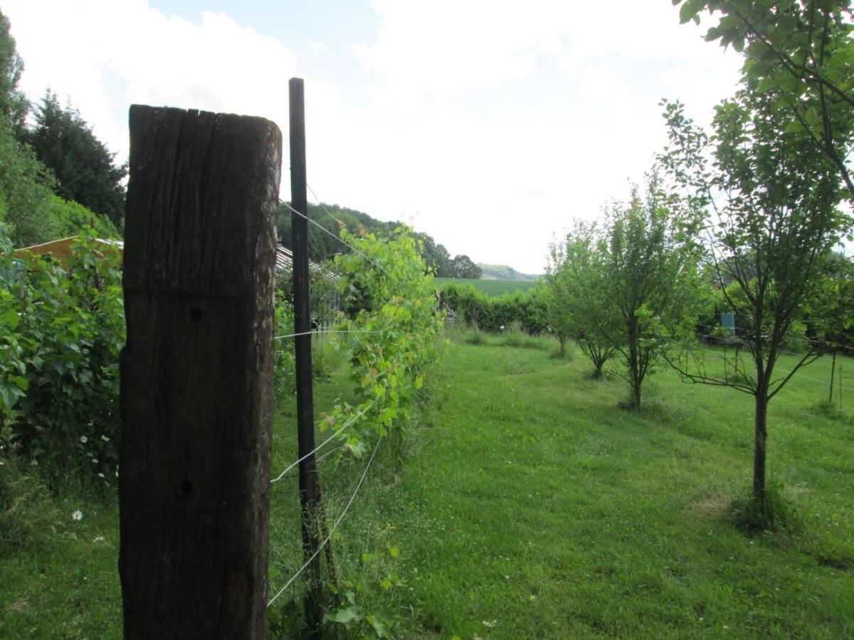 Florennes Gite Neuf 150 M2 Devant Un Grand Lac Prive De 2 Hectares Poissonneux Au Milieu Des Bois Vila Exterior foto