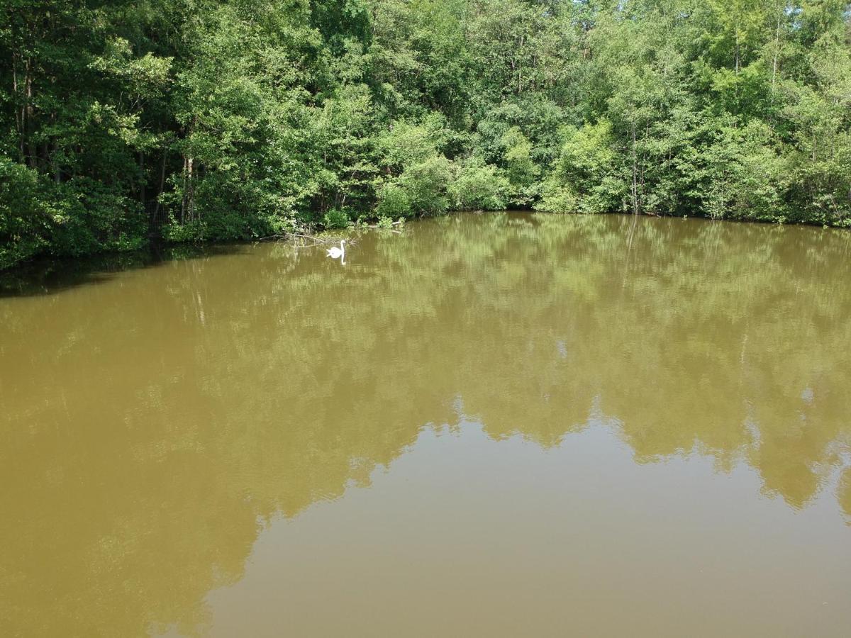 Florennes Gite Neuf 150 M2 Devant Un Grand Lac Prive De 2 Hectares Poissonneux Au Milieu Des Bois Vila Exterior foto