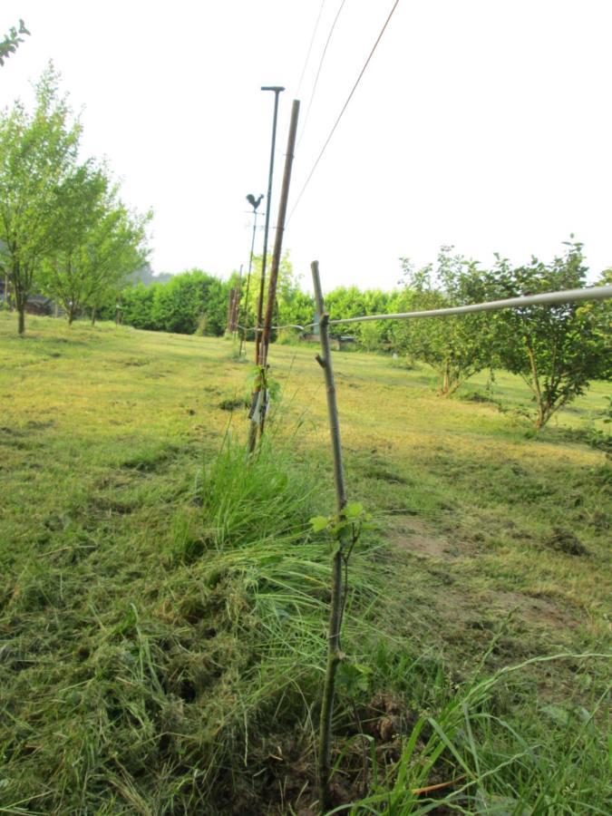 Florennes Gite Neuf 150 M2 Devant Un Grand Lac Prive De 2 Hectares Poissonneux Au Milieu Des Bois Vila Exterior foto