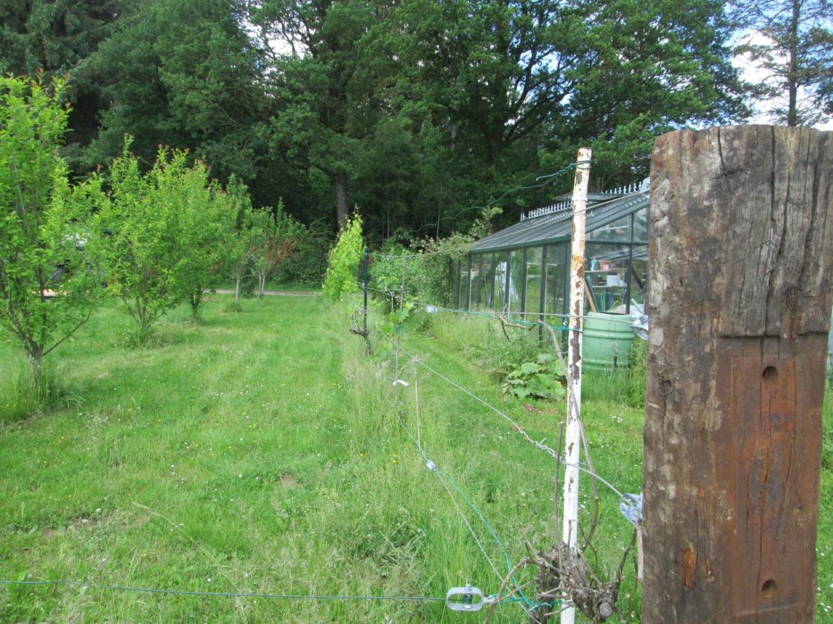 Florennes Gite Neuf 150 M2 Devant Un Grand Lac Prive De 2 Hectares Poissonneux Au Milieu Des Bois Exterior foto