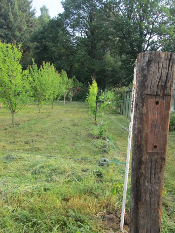 Florennes Gite Neuf 150 M2 Devant Un Grand Lac Prive De 2 Hectares Poissonneux Au Milieu Des Bois Vila Exterior foto