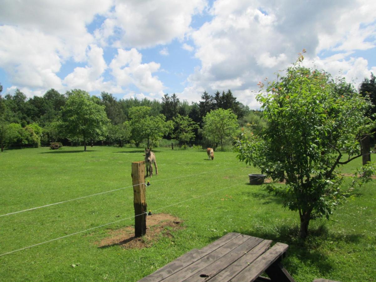 Florennes Gite Neuf 150 M2 Devant Un Grand Lac Prive De 2 Hectares Poissonneux Au Milieu Des Bois Vila Exterior foto