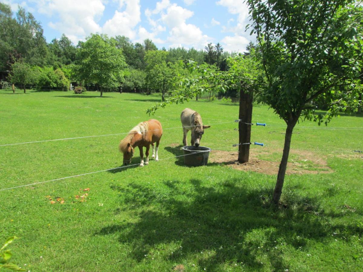 Florennes Gite Neuf 150 M2 Devant Un Grand Lac Prive De 2 Hectares Poissonneux Au Milieu Des Bois Vila Exterior foto