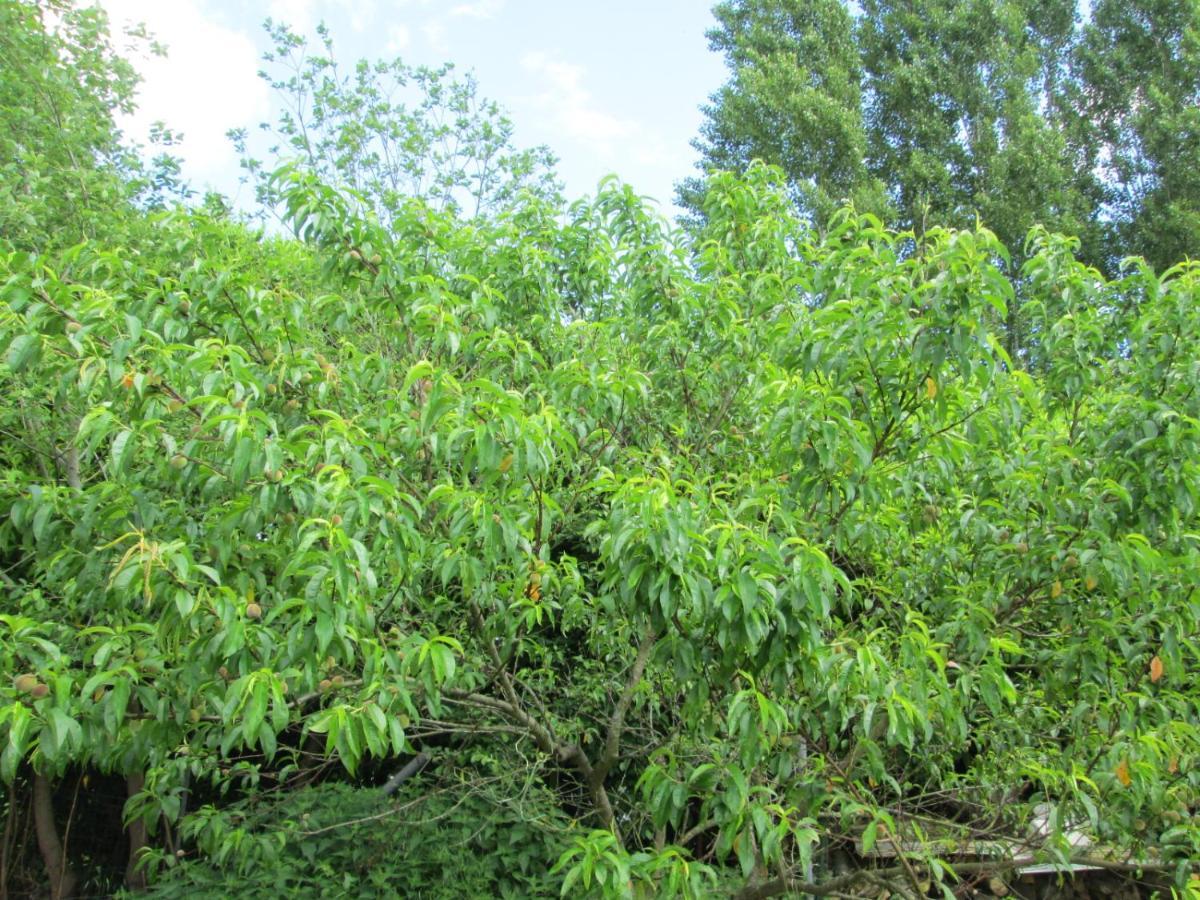 Florennes Gite Neuf 150 M2 Devant Un Grand Lac Prive De 2 Hectares Poissonneux Au Milieu Des Bois Vila Exterior foto