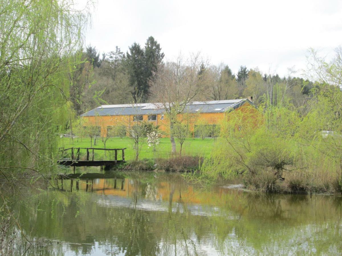 Florennes Gite Neuf 150 M2 Devant Un Grand Lac Prive De 2 Hectares Poissonneux Au Milieu Des Bois Vila Exterior foto