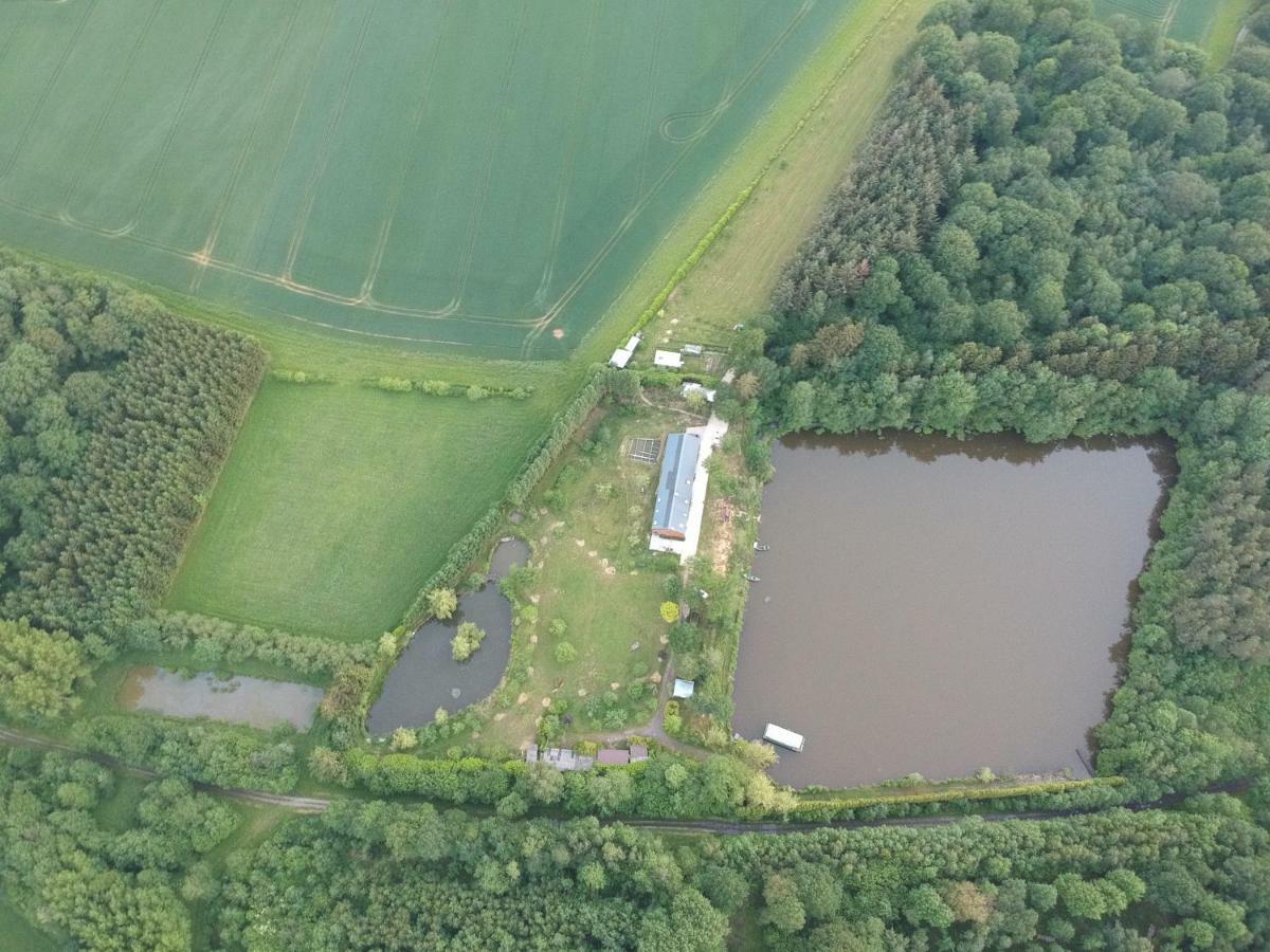 Florennes Gite Neuf 150 M2 Devant Un Grand Lac Prive De 2 Hectares Poissonneux Au Milieu Des Bois Vila Exterior foto