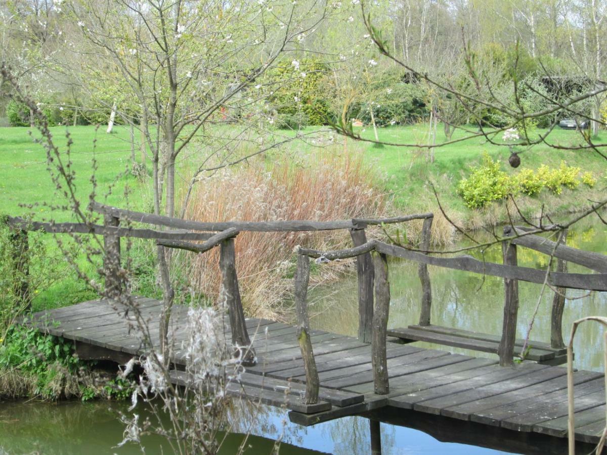 Florennes Gite Neuf 150 M2 Devant Un Grand Lac Prive De 2 Hectares Poissonneux Au Milieu Des Bois Vila Exterior foto