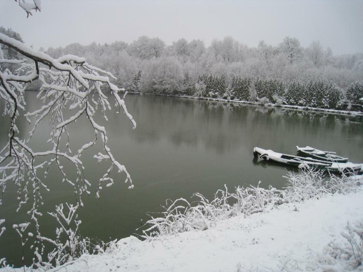 Florennes Gite Neuf 150 M2 Devant Un Grand Lac Prive De 2 Hectares Poissonneux Au Milieu Des Bois Exterior foto