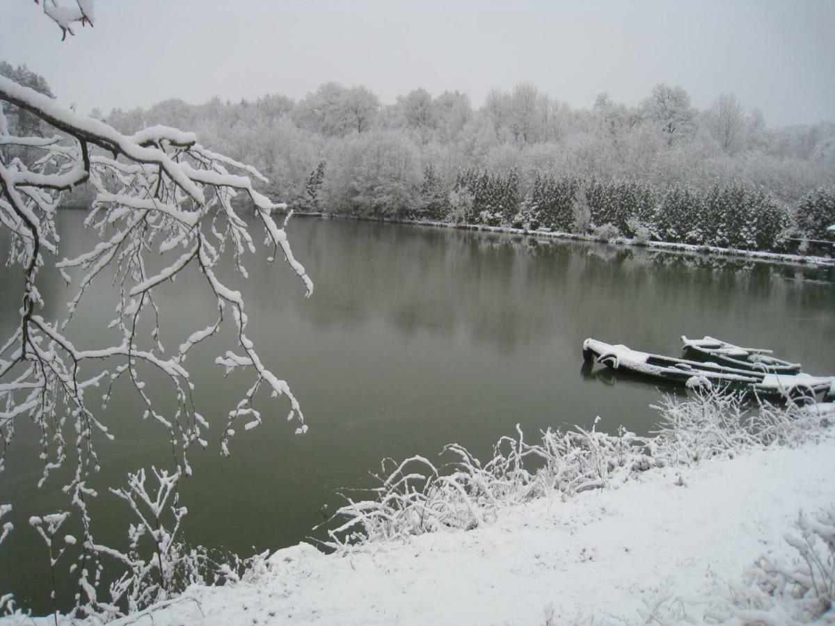 Florennes Gite Neuf 150 M2 Devant Un Grand Lac Prive De 2 Hectares Poissonneux Au Milieu Des Bois Vila Exterior foto