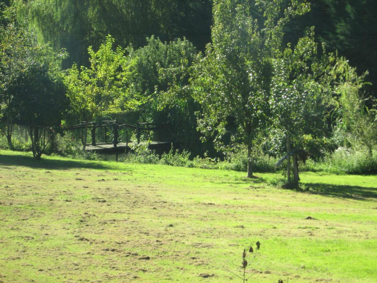 Florennes Gite Neuf 150 M2 Devant Un Grand Lac Prive De 2 Hectares Poissonneux Au Milieu Des Bois Vila Exterior foto