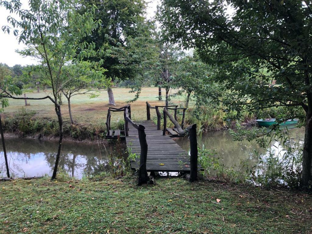 Florennes Gite Neuf 150 M2 Devant Un Grand Lac Prive De 2 Hectares Poissonneux Au Milieu Des Bois Exterior foto