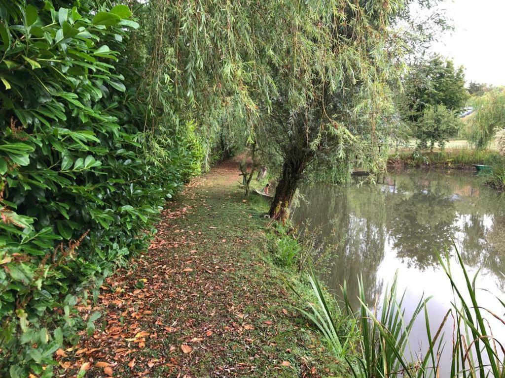 Florennes Gite Neuf 150 M2 Devant Un Grand Lac Prive De 2 Hectares Poissonneux Au Milieu Des Bois Vila Exterior foto